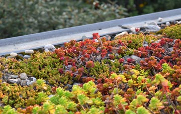 the cost of Sibson green roof installation