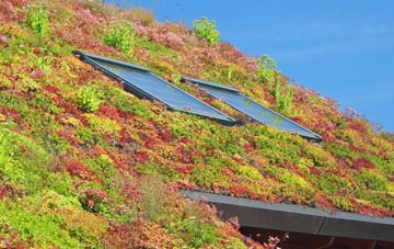 Sibson living roof systems
