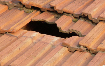 roof repair Sibson